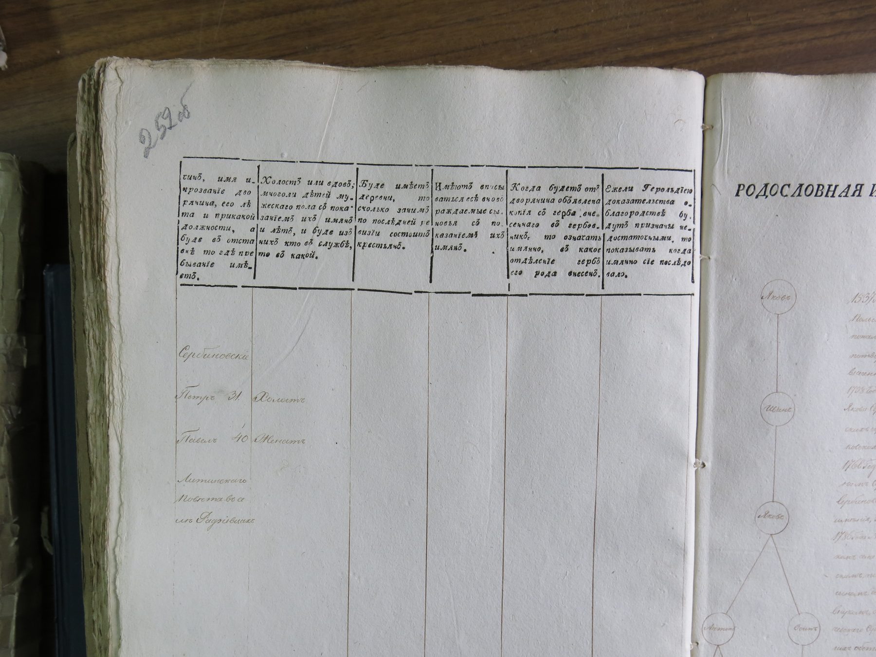 Rodosłownaja Serbinowskich w Księdze Genealogicznej