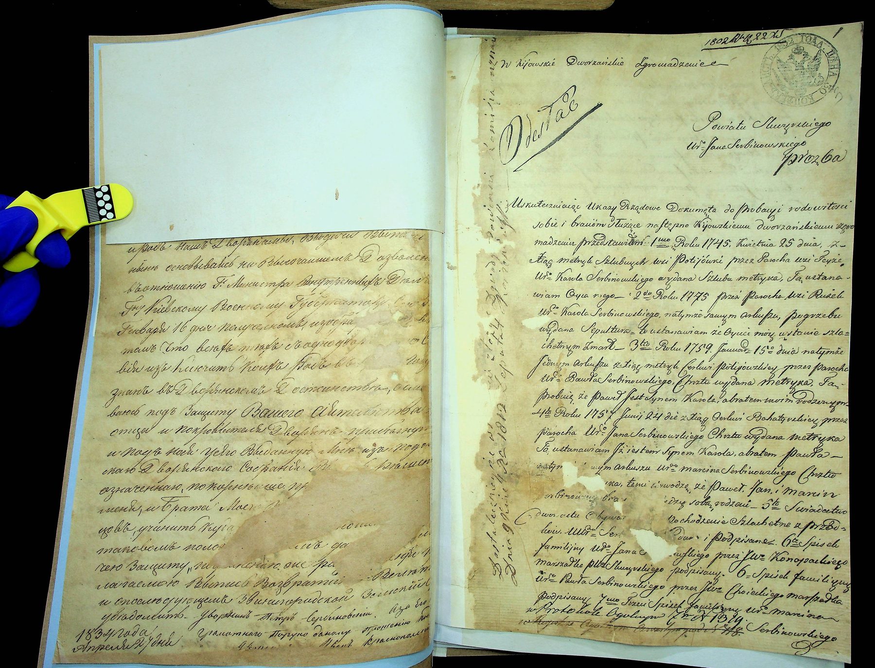 Spis dowodów rodowitości, 1802
